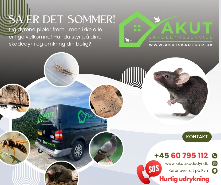 AKUT reklame til fb - sommer2024