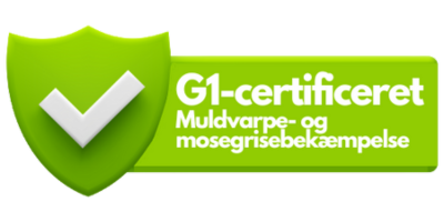 aut g1